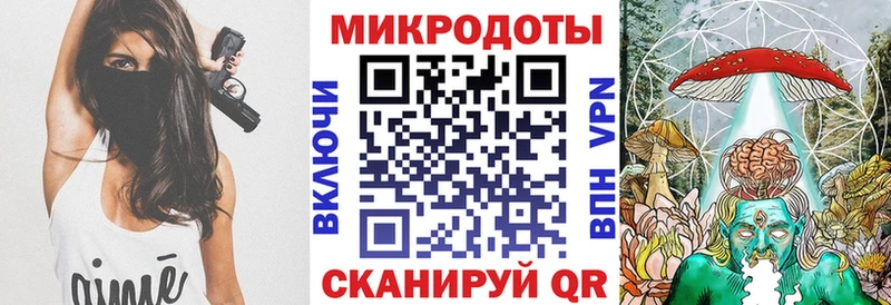 Псилоцибиновые грибы Psilocybe  что такое   Голицыно 